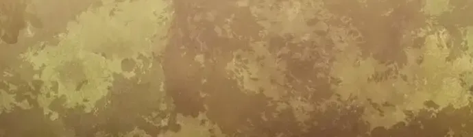 Chân Lý Tu Tiên Chap 19 - Next Chap 20