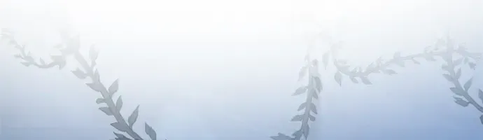 Chân Lý Tu Tiên Chap 22 - Next Chap 23