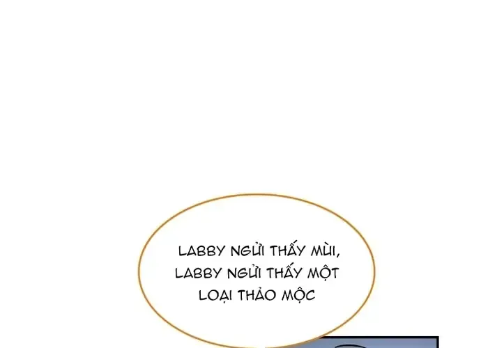 Chân Lý Tu Tiên Chap 20 - Next Chap 21