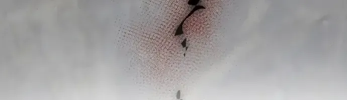 Chân Lý Tu Tiên Chap 21 - Next Chap 22