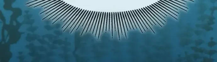 Chân Lý Tu Tiên Chap 22 - Next Chap 23