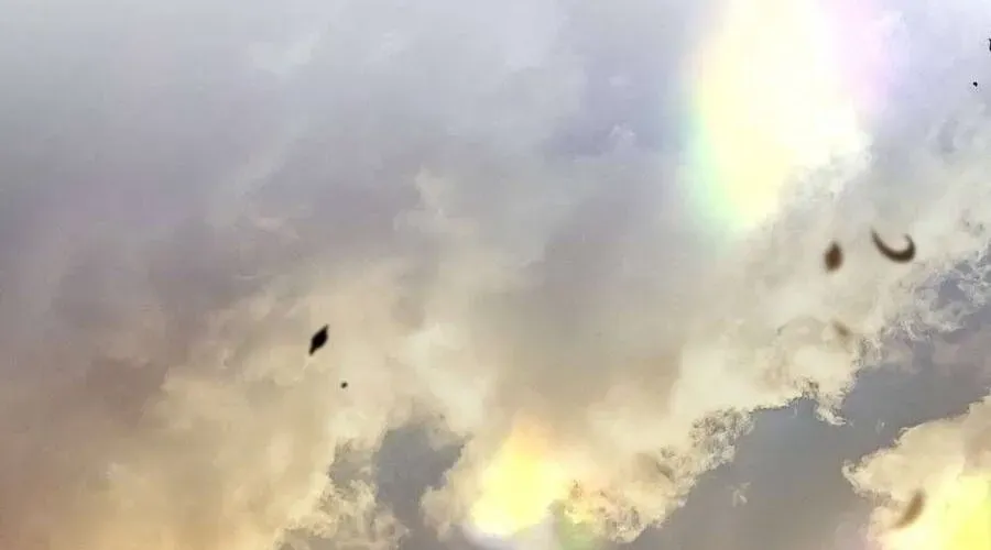 Người Chồng Độc Ác Chap 14 - Next Chap 15