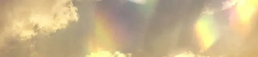 Người Chồng Độc Ác Chap 14 - Next Chap 15