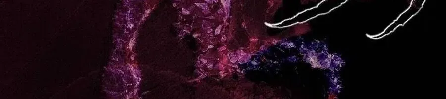 Người Chồng Độc Ác Chap 15 - Next Chap 16