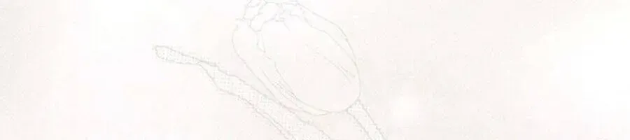 Người Chồng Độc Ác Chap 14 - Next Chap 15