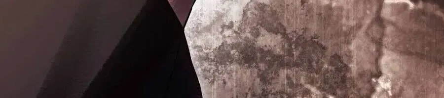 Người Chồng Độc Ác Chap 14 - Next Chap 15