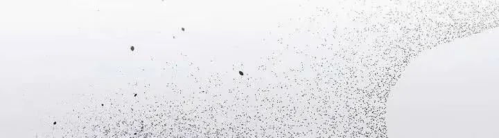 Xin Lỗi Vì Tôi Không Thể Rời Mắt Khỏi Vẻ Ngoài Của Ngài Chap 43 - Next Chap 44