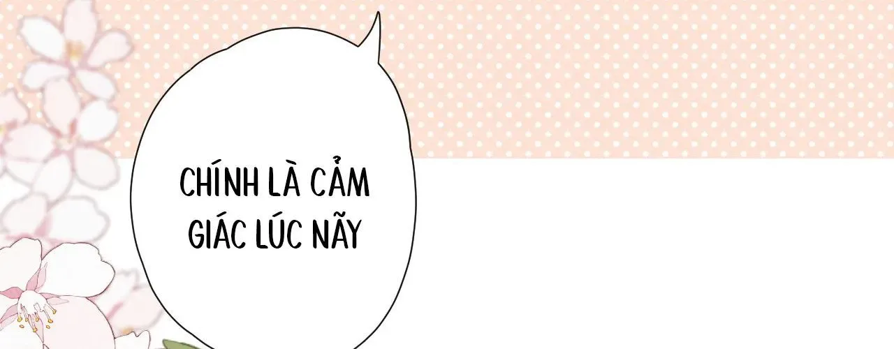 Vãn Triều Chap 1 - Next Chap 2