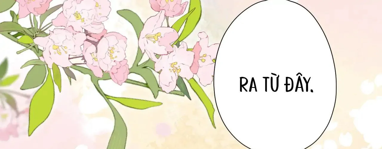 Vãn Triều Chap 1 - Next Chap 2