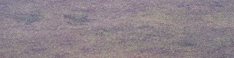 Gậy Gỗ Cấp 99+ Chap 163 - Next Chap 164