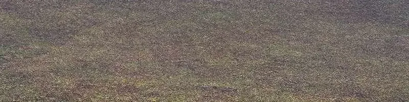 Gậy Gỗ Cấp 99+ Chap 163 - Next Chap 164