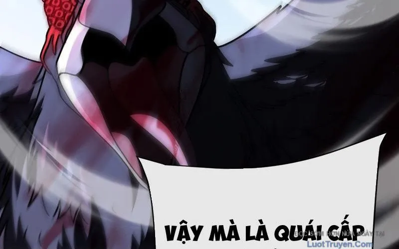 Dị Biến Giáng Lâm Nhân Gian: Kế Hoạch Thanh Trừ Người Chơi Chap 45 - Next Chap 46