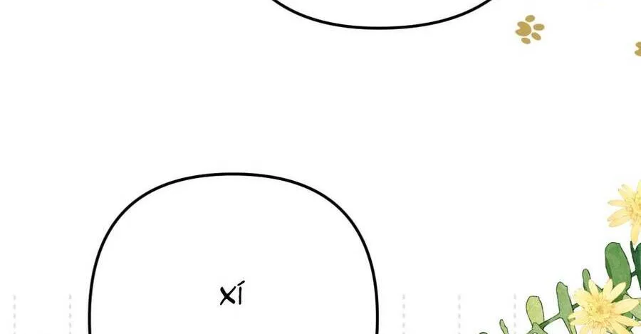 Thỉnh Đa Loan Chiếu Chap 33 - Next Chap 34