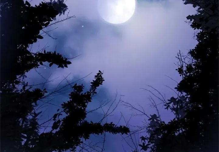 Ma Pháp Sư Hắc Ám Trở Về Để Nhập Ngũ Chap 53 - Next Chap 54