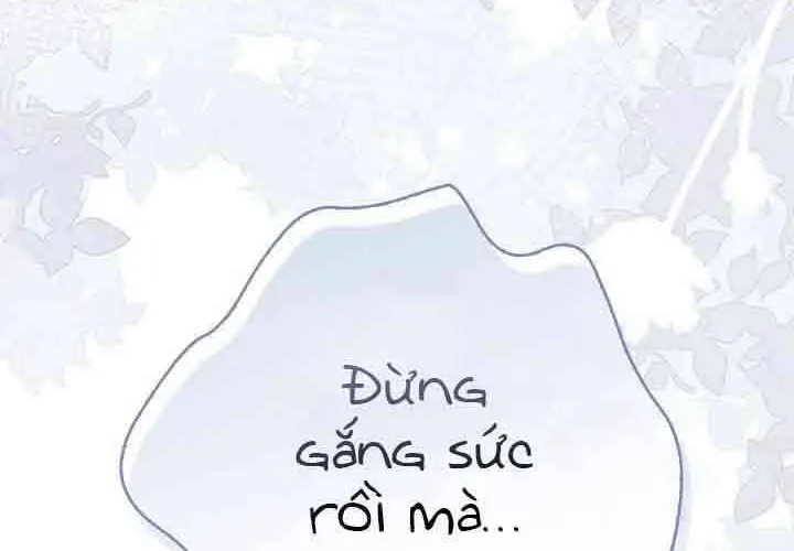 Xin Lỗi Vì Tôi Không Thể Rời Mắt Khỏi Vẻ Ngoài Của Ngài Chap 44 - Next Chap 45
