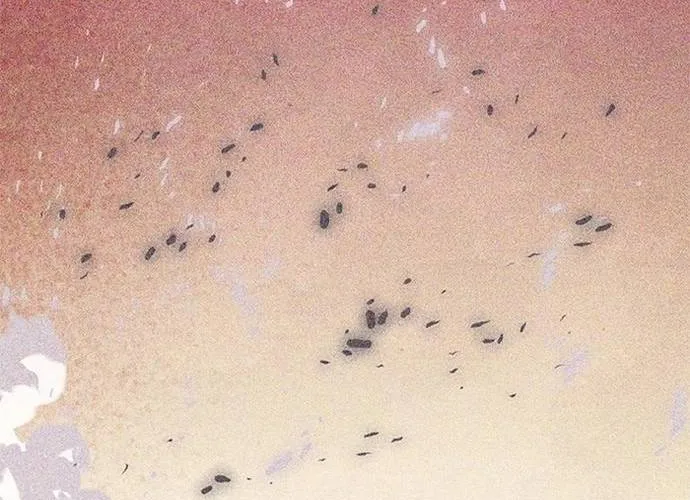 Druid Tại Ga Seoul - Người Hóa Thú Chap 154 - Next Chap 155