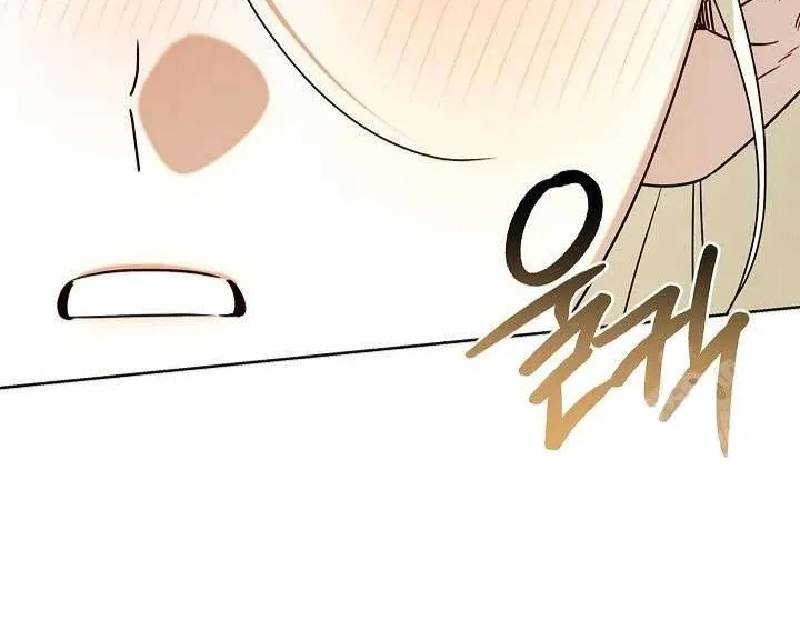 Xin Lỗi Vì Tôi Không Thể Rời Mắt Khỏi Vẻ Ngoài Của Ngài Chap 45 - Next Chap 46