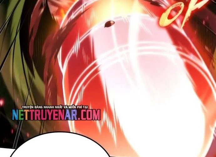 Mạo Hiểm Giả Cuối Cùng Chap 92 - Next Chap 93