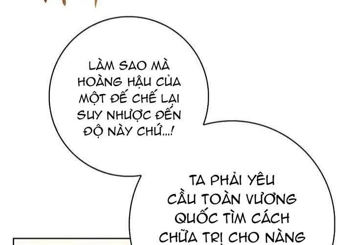 Xin Lỗi Vì Tôi Không Thể Rời Mắt Khỏi Vẻ Ngoài Của Ngài Chap 47 - Next Chap 48