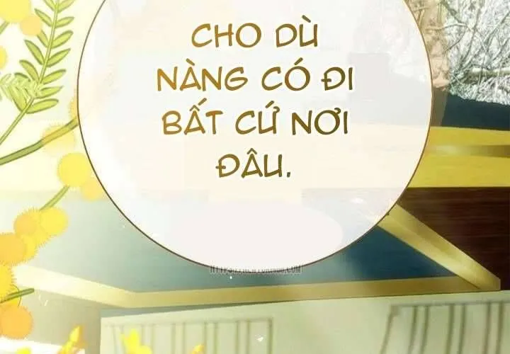 Xin Lỗi Vì Tôi Không Thể Rời Mắt Khỏi Vẻ Ngoài Của Ngài Chap 47 - Next Chap 48