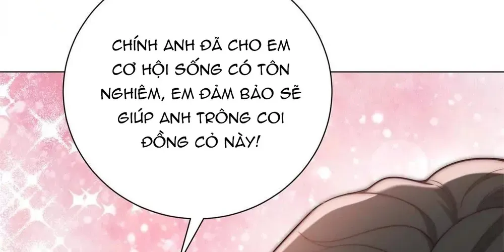 Vật Giá Sụt Giảm, Triệu Phú Quay Về Chap 57 - Next Chap 58