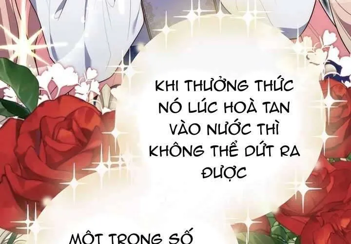 Trang 237