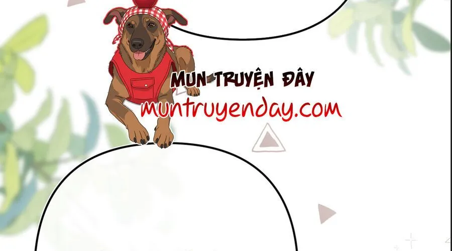 Thỉnh Đa Loan Chiếu Chap 35 - Next Chap 36