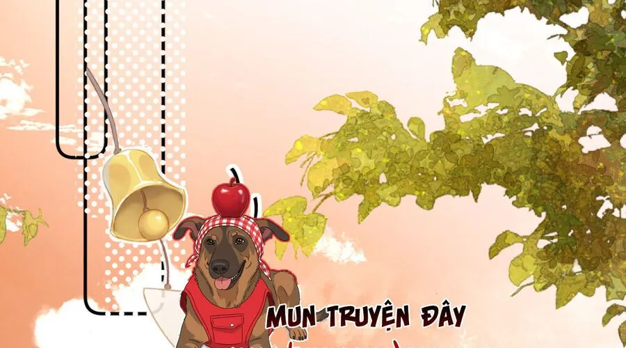 Thỉnh Đa Loan Chiếu Chap 35 - Next Chap 36