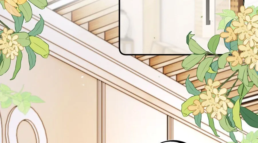 Thỉnh Đa Loan Chiếu Chap 35 - Next Chap 36