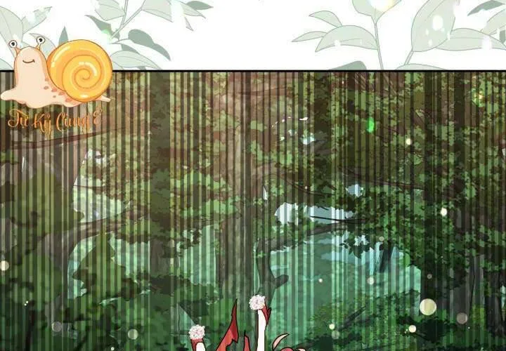 Tiểu Thư Mạnh Mẽ Muốn Trở Nên Yếu Đuối Chap 2 - Next Chap 3