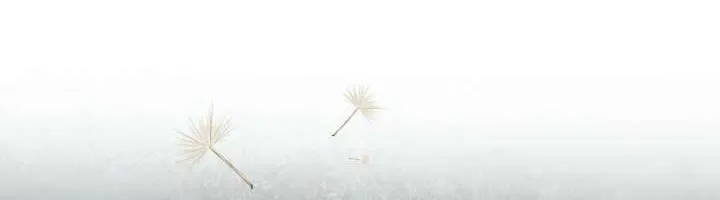 Tiểu Thư Mạnh Mẽ Muốn Trở Nên Yếu Đuối Chap 2 - Next Chap 3