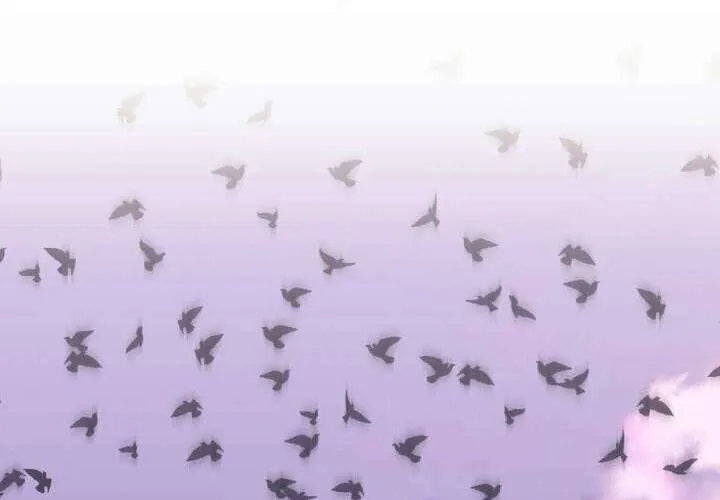 Tiểu Thư Mạnh Mẽ Muốn Trở Nên Yếu Đuối Chap 1 - Next Chap 2