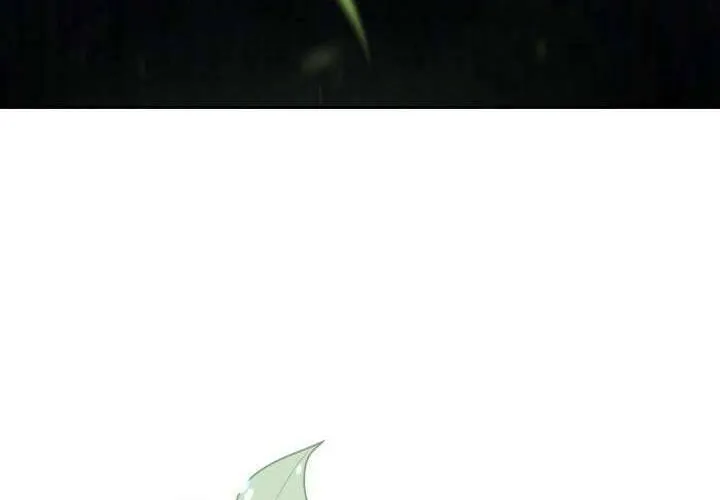 Tiểu Thư Mạnh Mẽ Muốn Trở Nên Yếu Đuối Chap 2 - Next Chap 3