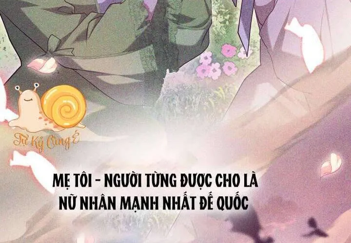 Tiểu Thư Mạnh Mẽ Muốn Trở Nên Yếu Đuối Chap 1 - Next Chap 2