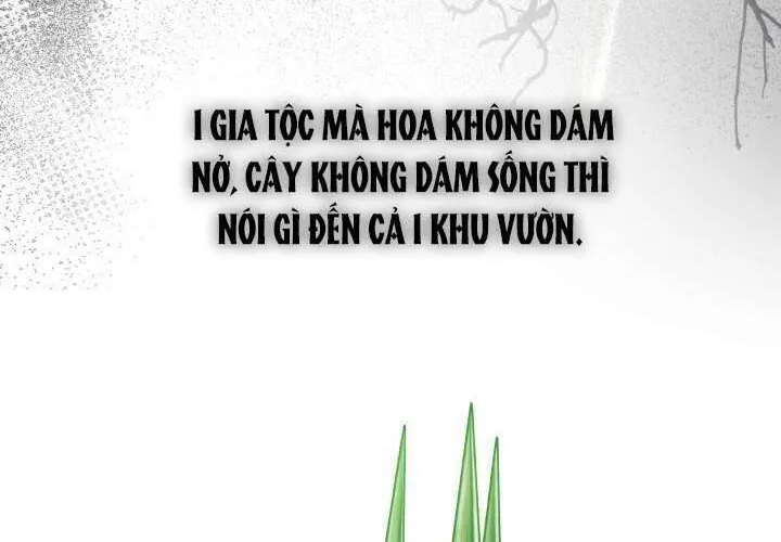 Tiểu Thư Mạnh Mẽ Muốn Trở Nên Yếu Đuối Chap 2 - Next Chap 3