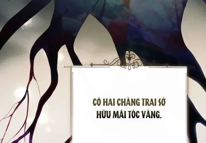 Tiểu Thư Mạnh Mẽ Muốn Trở Nên Yếu Đuối Chap 4 - Next Chap 5