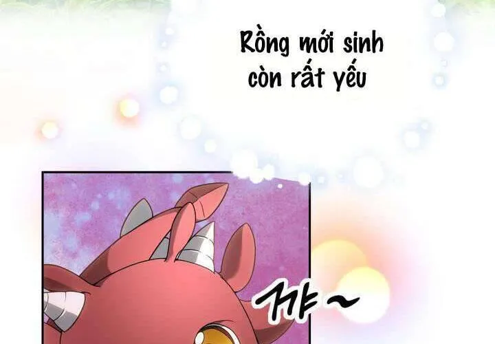 Tiểu Thư Mạnh Mẽ Muốn Trở Nên Yếu Đuối Chap 2 - Next Chap 3