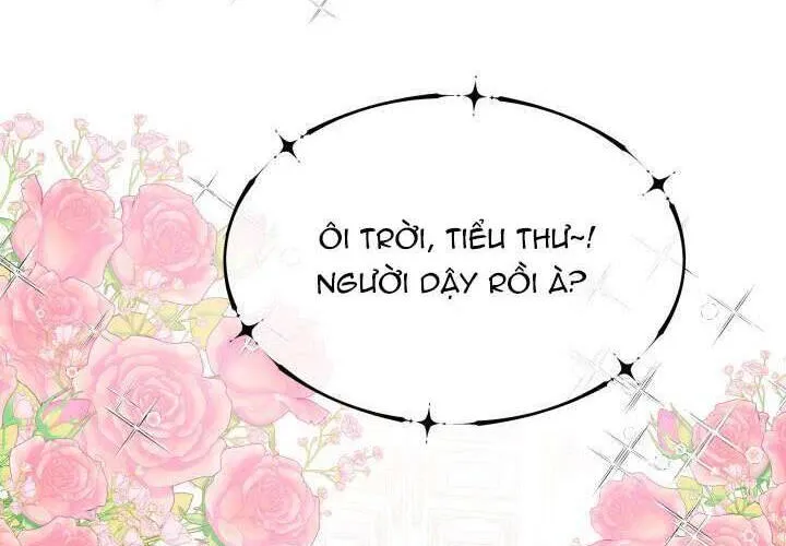 Tiểu Thư Mạnh Mẽ Muốn Trở Nên Yếu Đuối Chap 1 - Next Chap 2