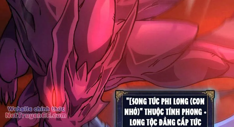 Bắt Đầu Kế Nhiệm Boss Hắc Long, Ta Vô Địch Chap 2 - Next Chap 3