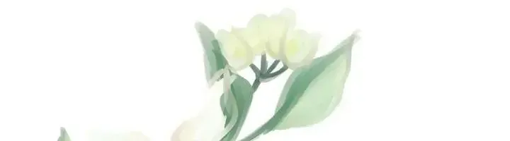 Tiểu Thư Mạnh Mẽ Muốn Trở Nên Yếu Đuối Chap 7 - Next Chap 8