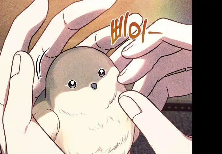 Tiểu Thư Mạnh Mẽ Muốn Trở Nên Yếu Đuối Chap 11 - Next Chap 12