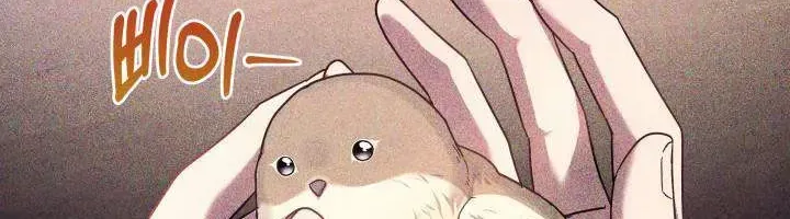 Tiểu Thư Mạnh Mẽ Muốn Trở Nên Yếu Đuối Chap 11 - Next Chap 12