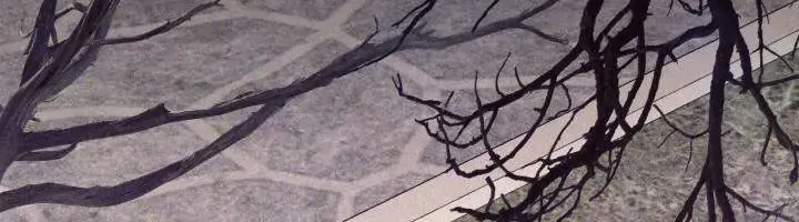 Tiểu Thư Mạnh Mẽ Muốn Trở Nên Yếu Đuối Chap 11 - Next Chap 12