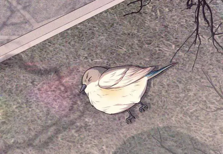 Tiểu Thư Mạnh Mẽ Muốn Trở Nên Yếu Đuối Chap 11 - Next Chap 12