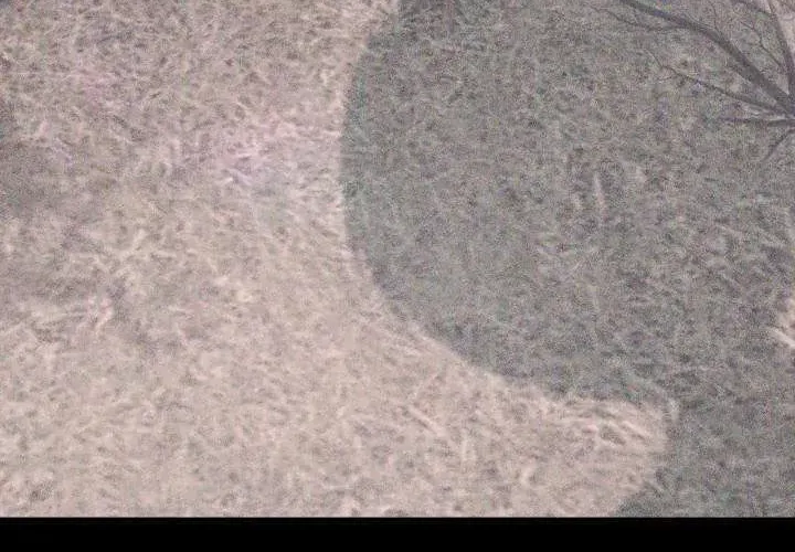 Tiểu Thư Mạnh Mẽ Muốn Trở Nên Yếu Đuối Chap 11 - Next Chap 12