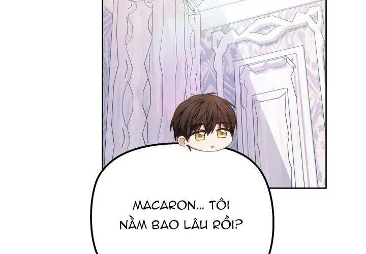 Tiểu Thư Mạnh Mẽ Muốn Trở Nên Yếu Đuối Chap 11 - Next Chap 12
