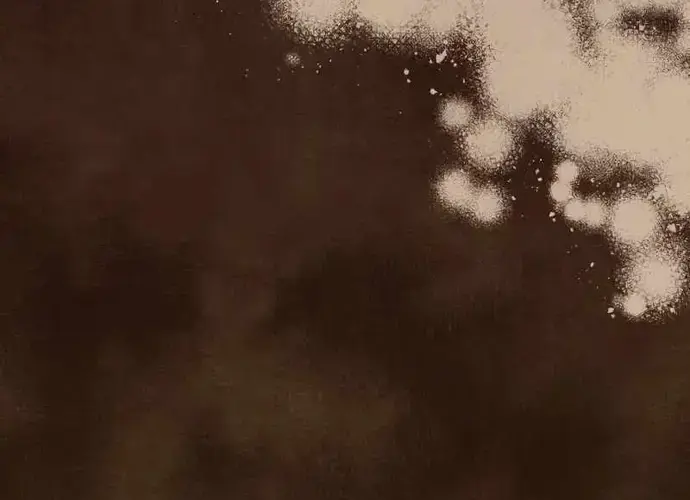 Tôi Là Thiên Ma Truyền Nhân Chap 25 - Next Chap 26