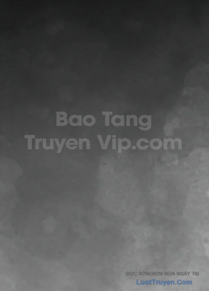 Kỷ Nguyên Siêu Anh Hùng Chap 216 - Next Chap 217